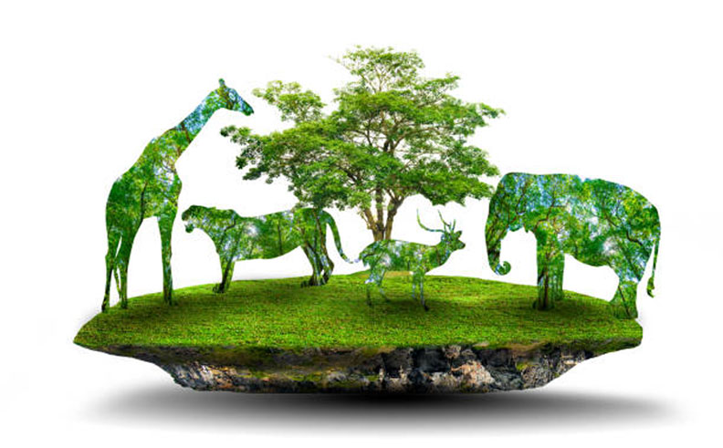 sürdürülebilirlik